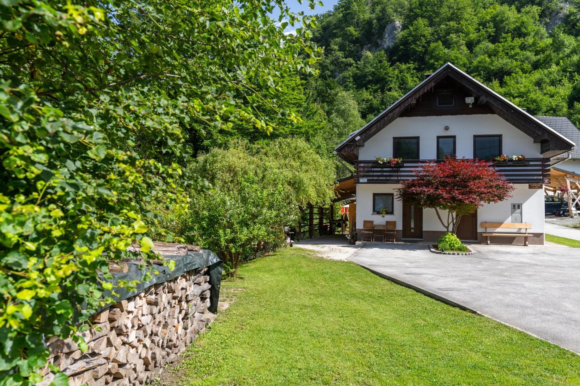 Apartma Pri Lipi Бохінь Екстер'єр фото